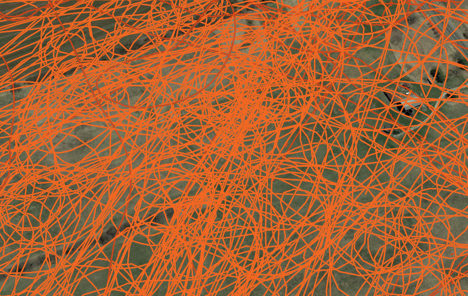 Data1